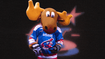 wave hello GIF by Newcastle Northstars