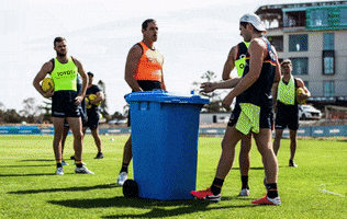 Prank Afl GIF by Adelaide Crows