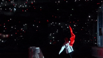 Sheffield GIF by Sheff_Steelers