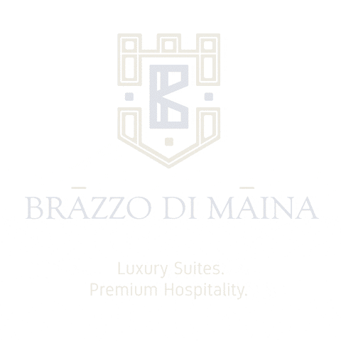 brazzodimaina GIF