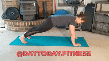 Planks GIF