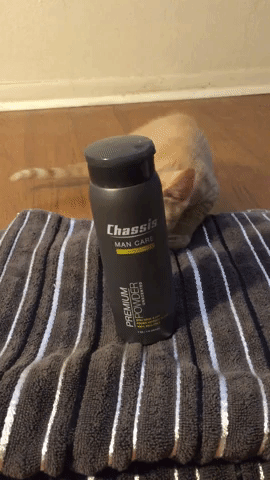 Chassis  GIF
