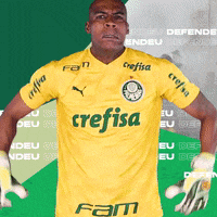 Puma Palmas GIF by SE Palmeiras