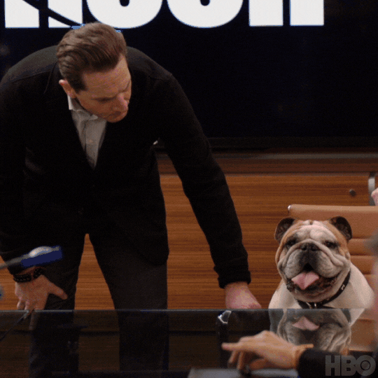 Hideous Face GIFs Find & Share on GIPHY