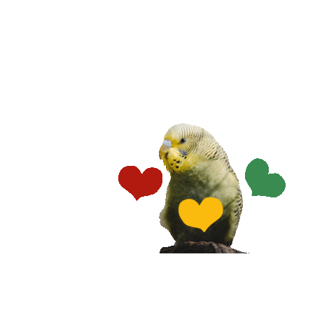 Tierpark Sababurg Sticker