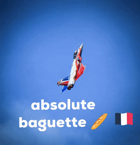 France GIF