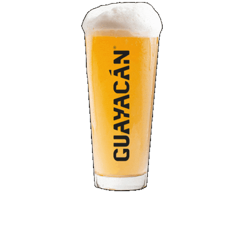 Guayacán Schop Golden Ale Sticker by Cerveza Guayacán