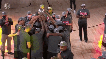 Nba Playoffs Sport GIF by NBA