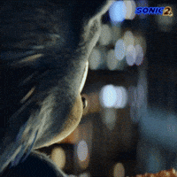 Sonic-x-bokun GIFs - Get the best GIF on GIPHY