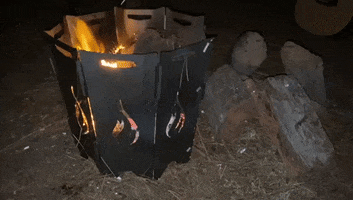 Firepit GIF