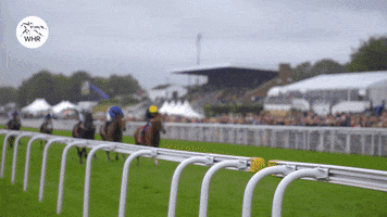 Royal Ascot GIF by World Horse Racing