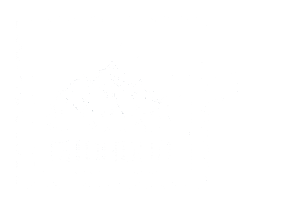 Monika Kozlowska Sticker