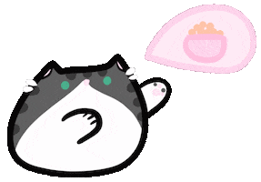 Cat Kitty Sticker