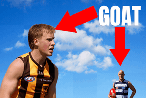 Hawthorn Hawks Honeybuns GIF