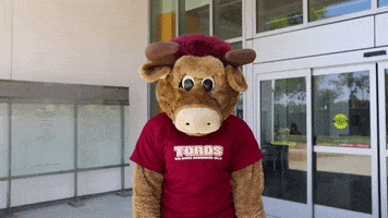 200.gif?cid=fc005b08e593707a929cf234f2550f9026b8367649f45683&rid=200.gif&ct=g