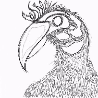 Ibist Ornithology Artanddesaign GIF