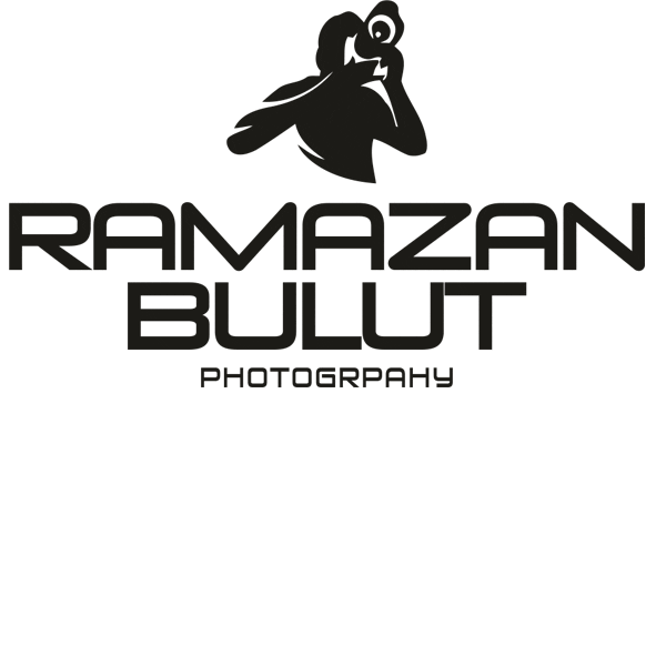 Wedding Dugun Sticker by Ramazan Bulut Photography