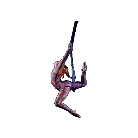 Circus Trapeze Sticker by Ringling Bros. and Barnum & Bailey