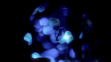 Escape Velocity GIF by The Chemical Brothers