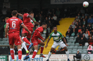 Jimmy Celebrate GIF by Yeovil Town FC