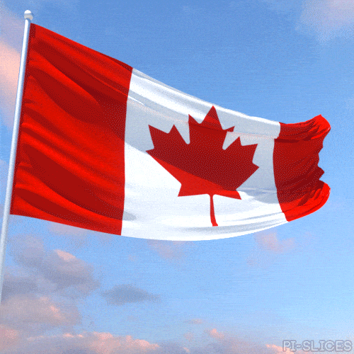Canaday meme gif