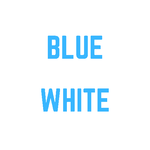 College of Coastal Georgia Sticker