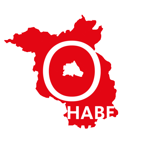 CDU Brandenburg Sticker