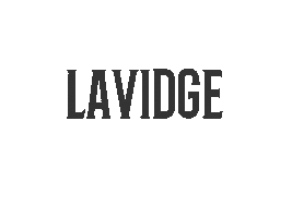 Sticker by LAVIDGE