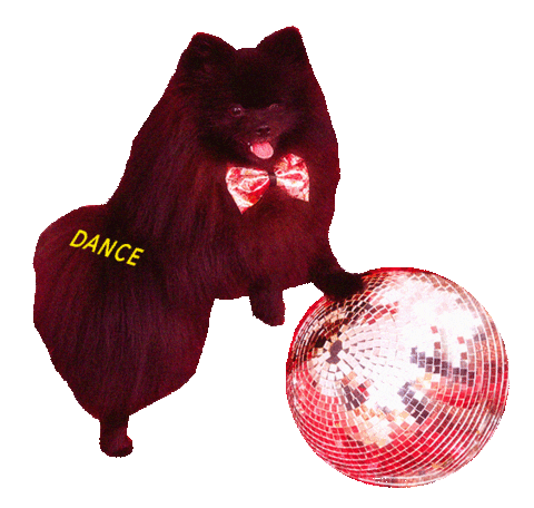 GIORGIA GIFs on GIPHY - Be Animated