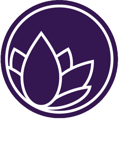 Sticker by Nanolex Russia