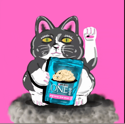 Cat Illustration Gif By Muv Projekt Find Share On Giphy Cat Illustration Gif By Muv Projekt Find Share On Giphy