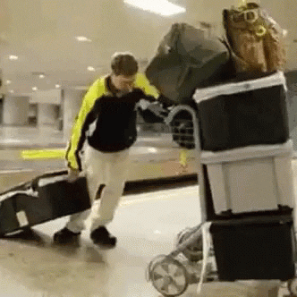 Packing GIF by memecandy - Find & Share on GIPHY