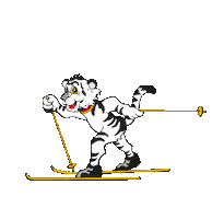 DSV - Deutscher Skiverband Sticker