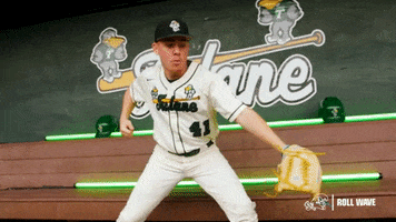 College Baseball Kyle GIF by GreenWave