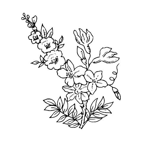 Shopping Sticker by Rachel Awtrey