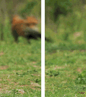 go go go running GIF