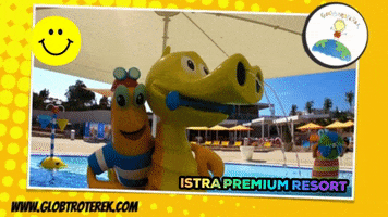200.gif?cid=fc005b08a2d82d90d15201000ba53b71d0ee40596084d7a3&rid=200.gif&ct=g