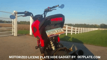 trydeal hide honda license grom GIF