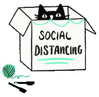 Cat Hiding Sticker