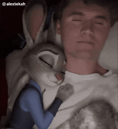 Judy Hopps GIF