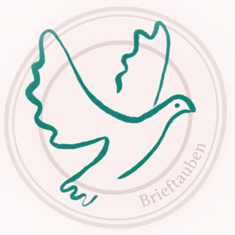 @brieftaubenaktion GIF