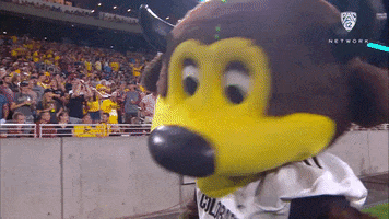 University Of Colorado Boulder Dancing GIF by Pac-12 Network