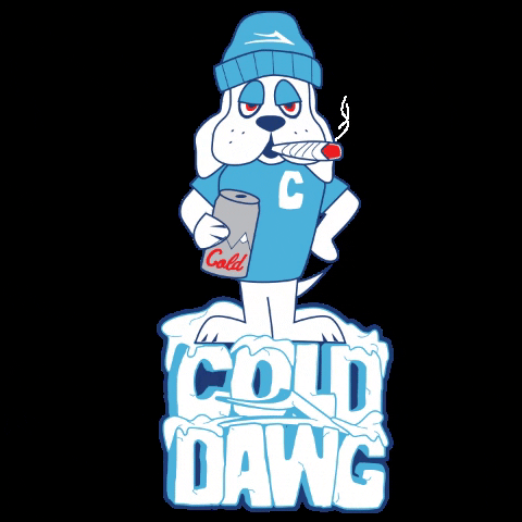 Lakaiordie Codychapman GIF by Lakai LTD