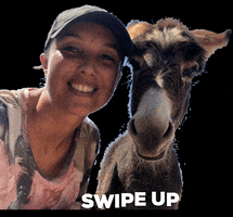 Curacao Swipe Up GIF by Pippi's opvang