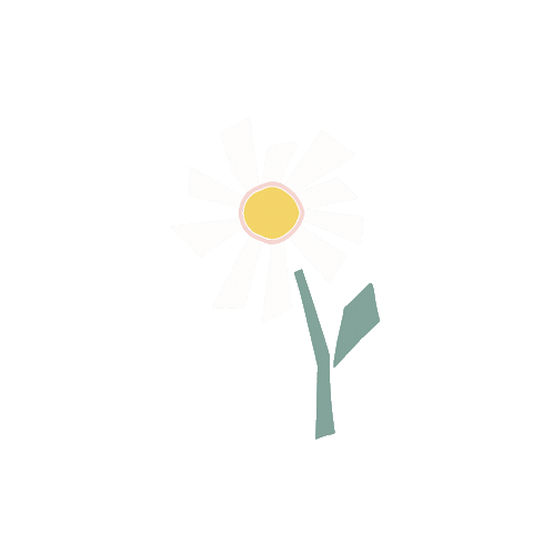 Flower Sunset Sticker by byflorecer