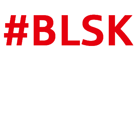 BLSK - Braunschweigische Landessparkasse Sticker