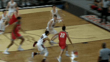 Mens Basketball GIF by Lafayette Leopards