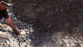 Rock Stone GIF by JC Property Professionals