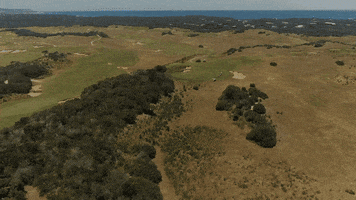 Travel Golf GIF by GolfBarons