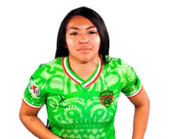 Juarez Sticker by Brav@s